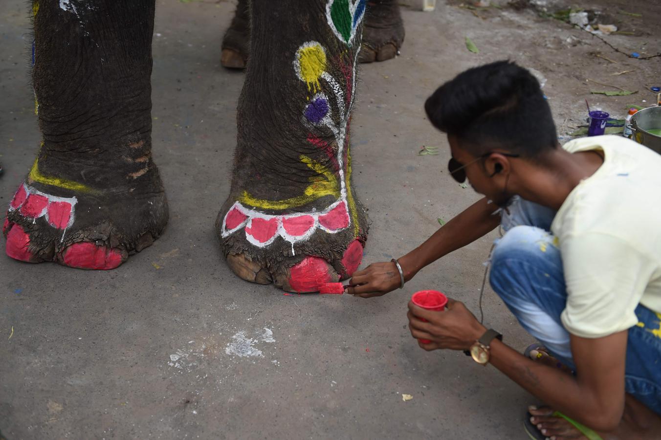 Un elefante indio se pinta en la víspera del festival hindú anual Rath Yatra en Ahmedabad el 3 de julio de 2019.
