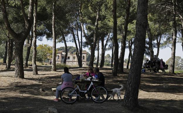 Escena campestre en el Campamento Benítez. 