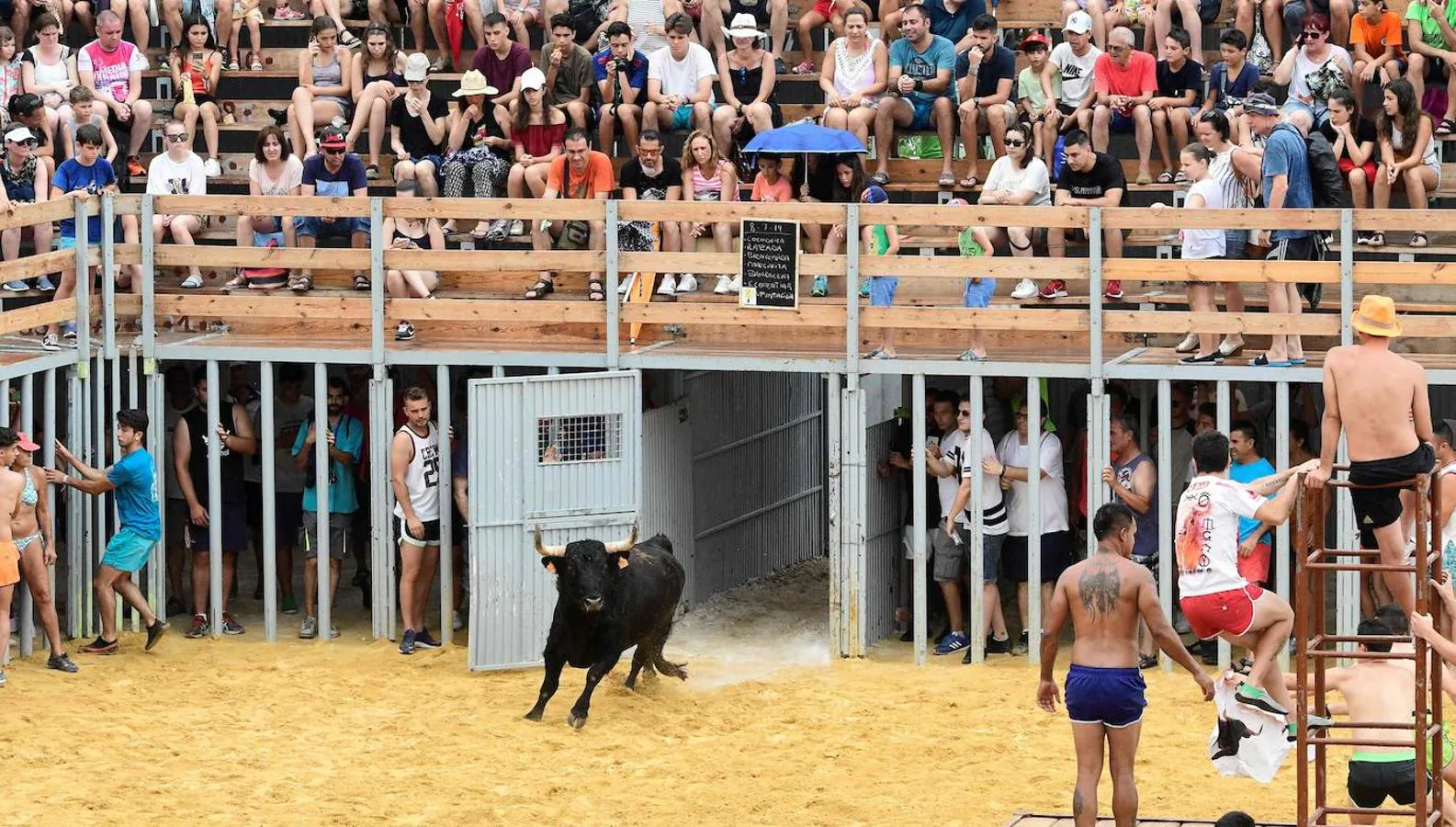 Las actividades durante la corrida tradicional de toros «Bous a la mar»(toros en el mar) en el puerto de Denia, cerca de Alicante, el 8 de julio de 2019. 