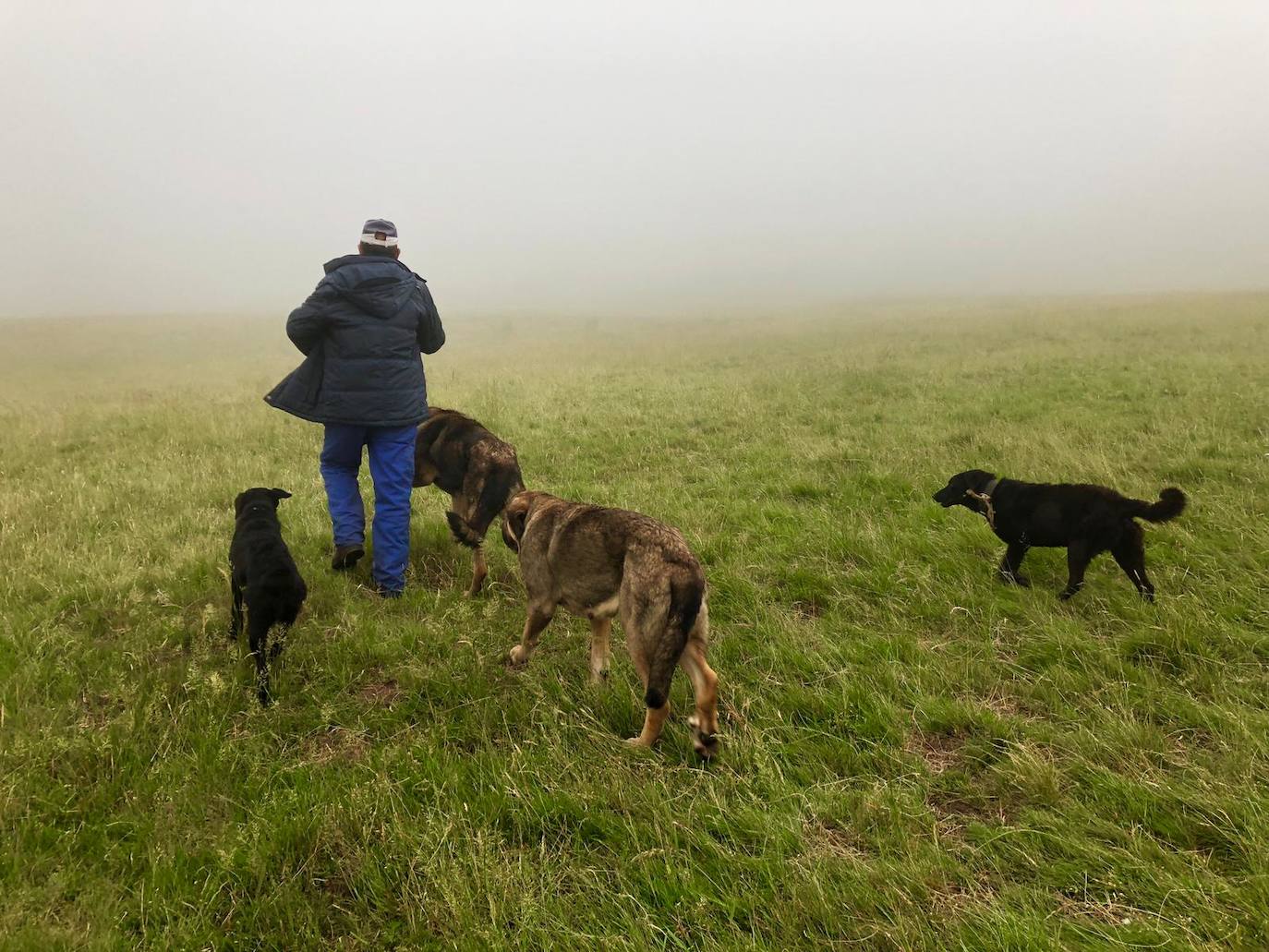 Cinco jóvenes malagueños que han superado el cáncer concluyen la 'Primera Aventura Trashumante entre Lobos y Mastines'