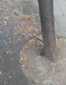 Imagen secundaria 2 - Desperdicios en el parque. Rotonda con la fuga de agua. Detalle de la tubería.