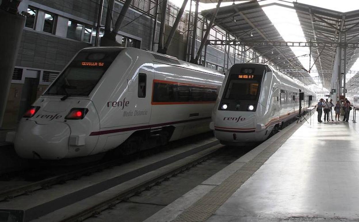Trenes en la estación María Zambrano de la capital. 