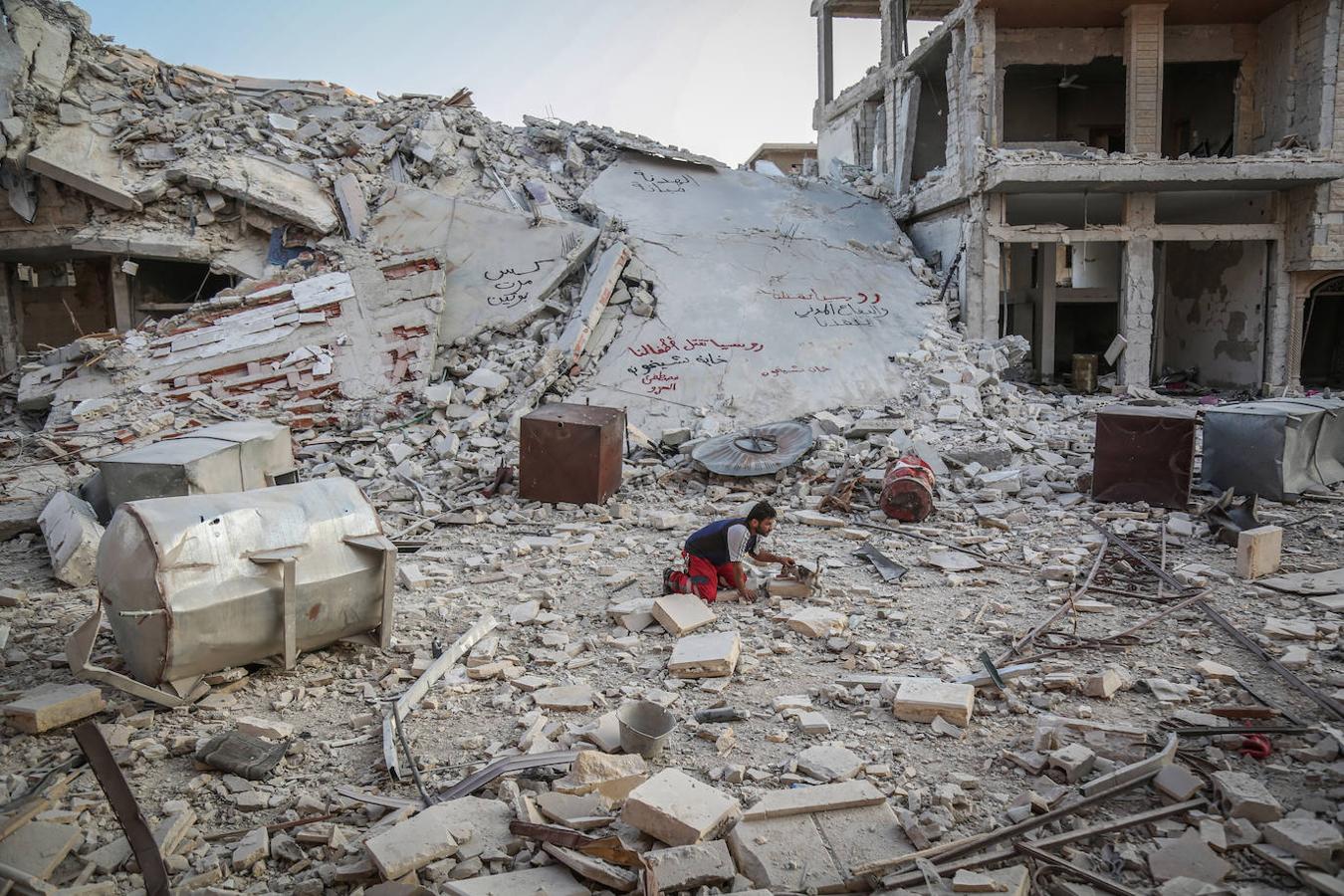 Durante la guerra siria en 2012, Al-Jaleel trabajaba como conductor de ambulancia en Alepo y solía dejar comida para gatos callejeros y abandonados. En 2015 comenzó a buscar gatos vivos en las zonas devastadas por la guerra para llevarlos a casa. Su trabajo con los animales se volvió viral y, con la ayuda de la italiana Alessandra Abidin, comenzó a recaudar fondos para servir construir «La casa de los gatos Ernesto». Además de más de 200 gatos, ahora el santuario tiene perros, monos, conejos y otros animales.