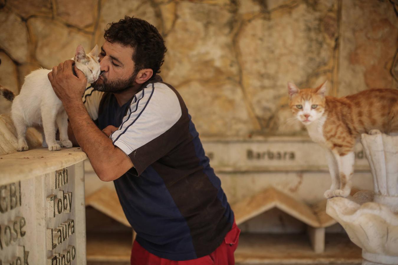 Durante la guerra siria en 2012, Al-Jaleel trabajaba como conductor de ambulancia en Alepo y solía dejar comida para gatos callejeros y abandonados. En 2015 comenzó a buscar gatos vivos en las zonas devastadas por la guerra para llevarlos a casa. Su trabajo con los animales se volvió viral y, con la ayuda de la italiana Alessandra Abidin, comenzó a recaudar fondos para servir construir «La casa de los gatos Ernesto». Además de más de 200 gatos, ahora el santuario tiene perros, monos, conejos y otros animales.