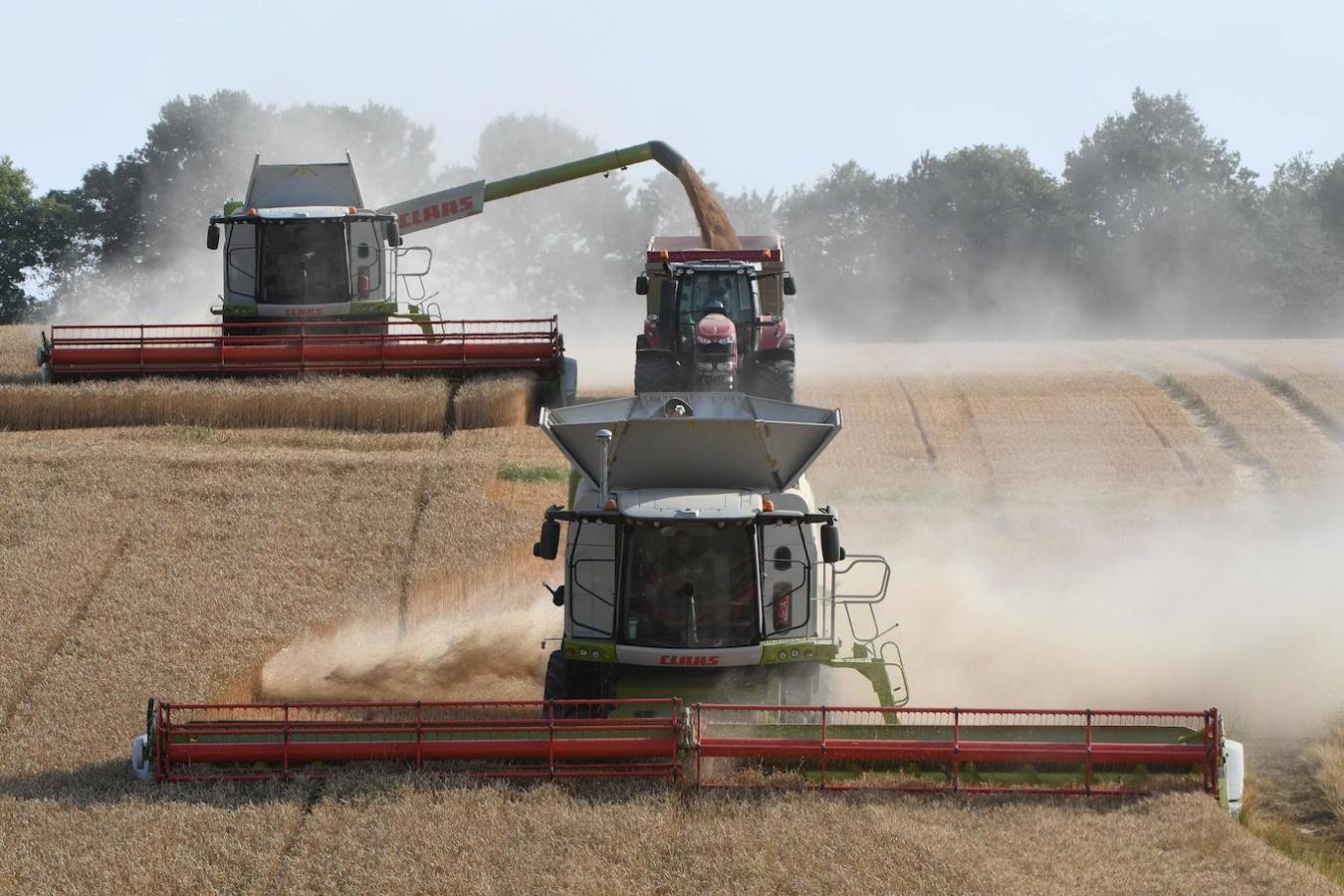 El Panel Intergubernamental para el Cambio Climático (IPCC) de la ONU ha presentado en Ginebra el informe científico más completo sobre el calentamiento global. El IPCC apunta a que hacen falta cambios profundos en sectores como el de la producción de alimentos mundial y la gestión de los suelos, entre otros aspectos, para así salvar el planeta.