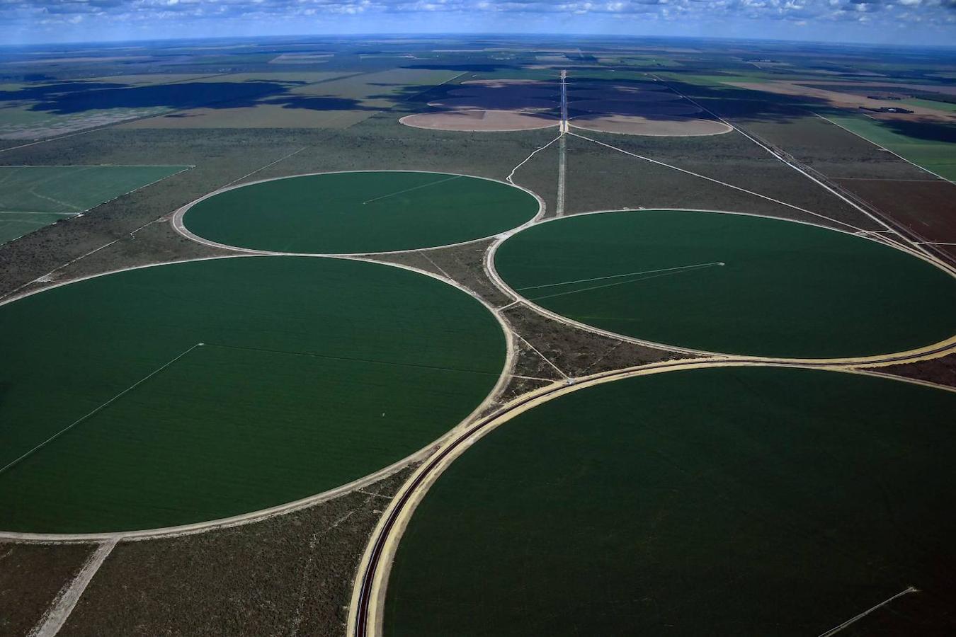 El Panel Intergubernamental para el Cambio Climático (IPCC) de la ONU ha presentado en Ginebra el informe científico más completo sobre el calentamiento global. El IPCC apunta a que hacen falta cambios profundos en sectores como el de la producción de alimentos mundial y la gestión de los suelos, entre otros aspectos, para así salvar el planeta.