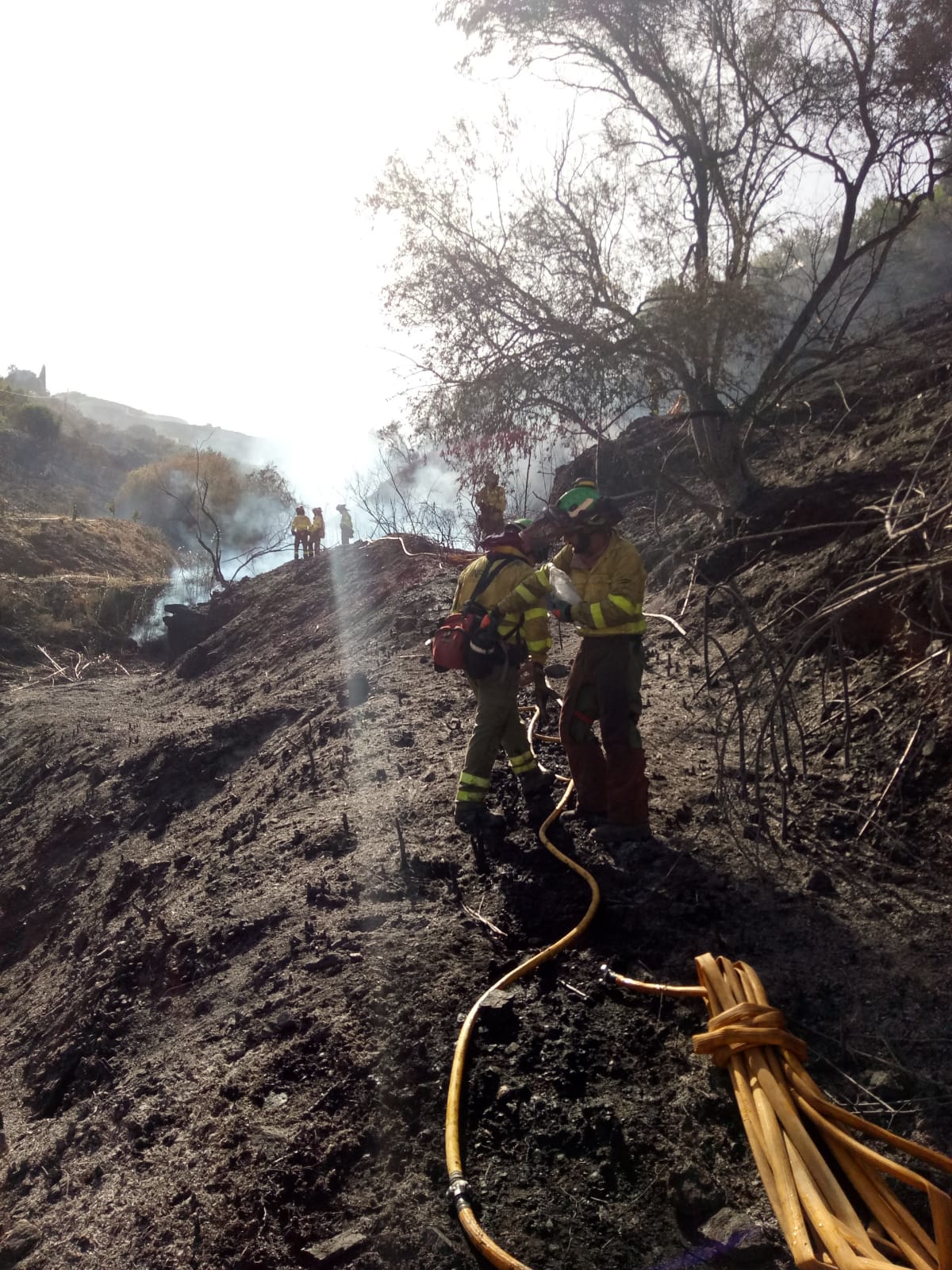 Imagen del incendio registrado en Torrox. 