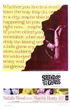 Esplendor en la hierba. Splendor in the Grass: Otro melodrama con título a su medida. Elia Kazan revive el mito de los enamorados de distintas clases sociales junto a Natalie Wood y Warren Beaty