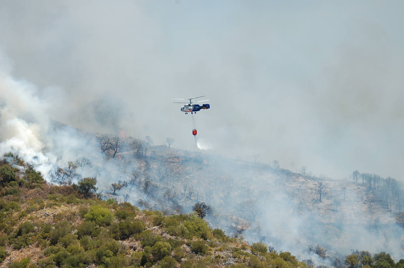 El fuego se originó en el paraje de Peñas Blancas. 