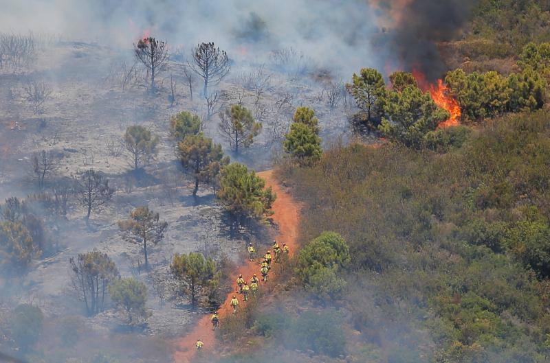 El fuego se originó en el paraje de Peñas Blancas. 