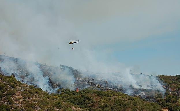 Las llamas se originaron sobre las 11.20 de la mañana en un paraje de Peñas Blancas