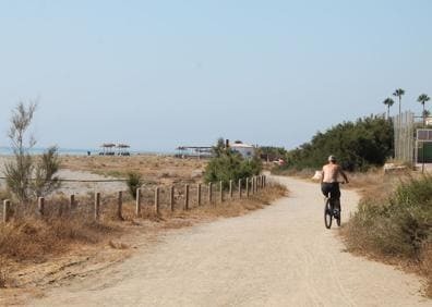 Imagen secundaria 1 - Arriba, pradera de azucena de mar en la playa del Toro. Abajo, a la izquierda, esta franja costera también es idónea para pasear a pie o en bicicleta. A la derecha, parque infantil situado junto a uno de los restaurantes situados en primera línea de playa.