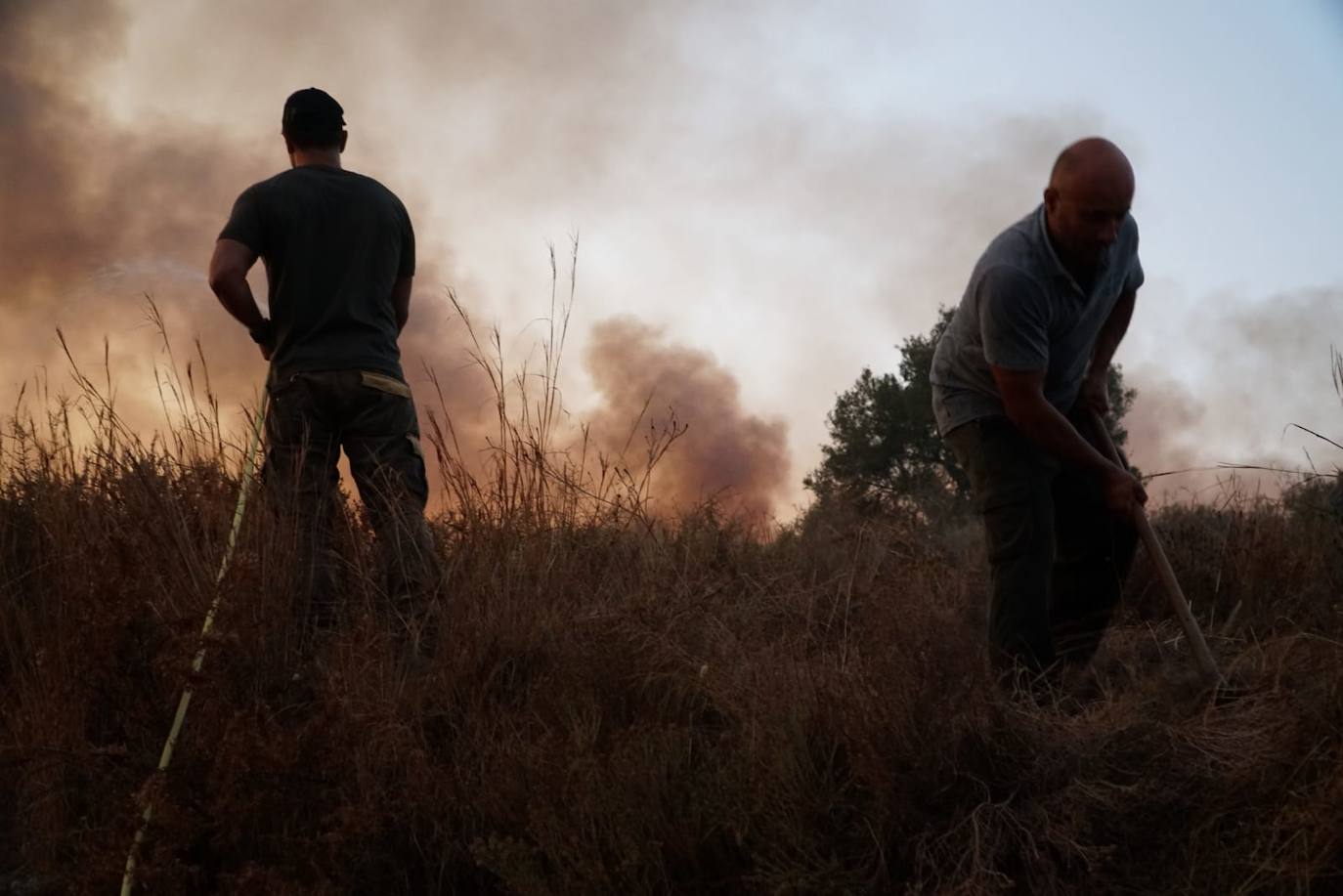 El fuego se originó en la zona conocida como Altos de Marbella. 