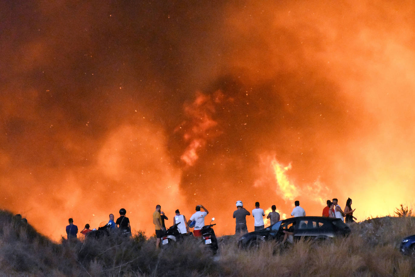 El fuego se originó en la zona conocida como Altos de Marbella. 