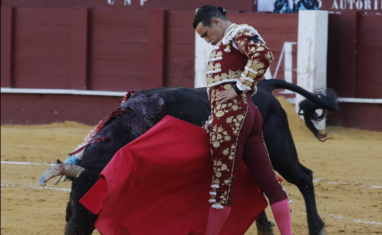 Muletazo por bajo de Manzanares a 'Gineto', un gran toro de Núñez del Cuvillo. 