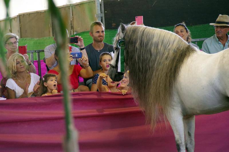 Miles de personas apuran las últimas horas de fiesta tanto en el Centro como en el Real. 