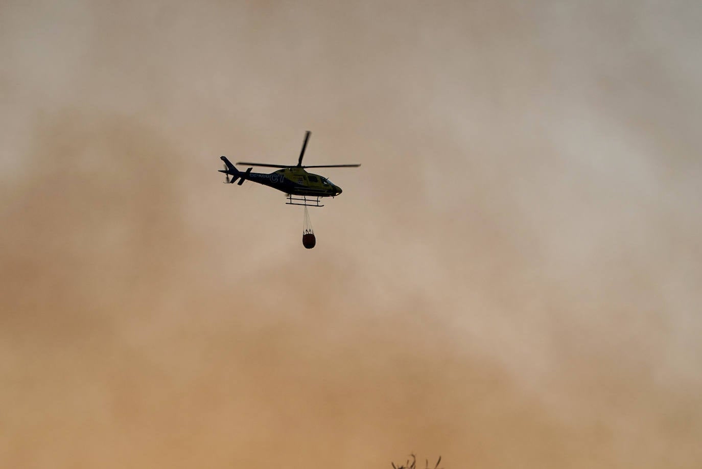 Fotos: El incendio en el paraje Los Monteros de Marbella en imágenes