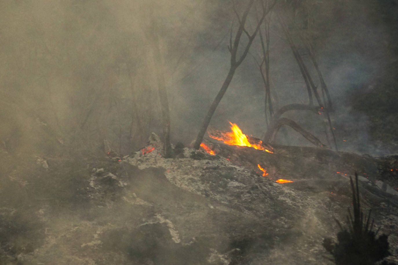 Fotos: El incendio en el paraje Los Monteros de Marbella en imágenes