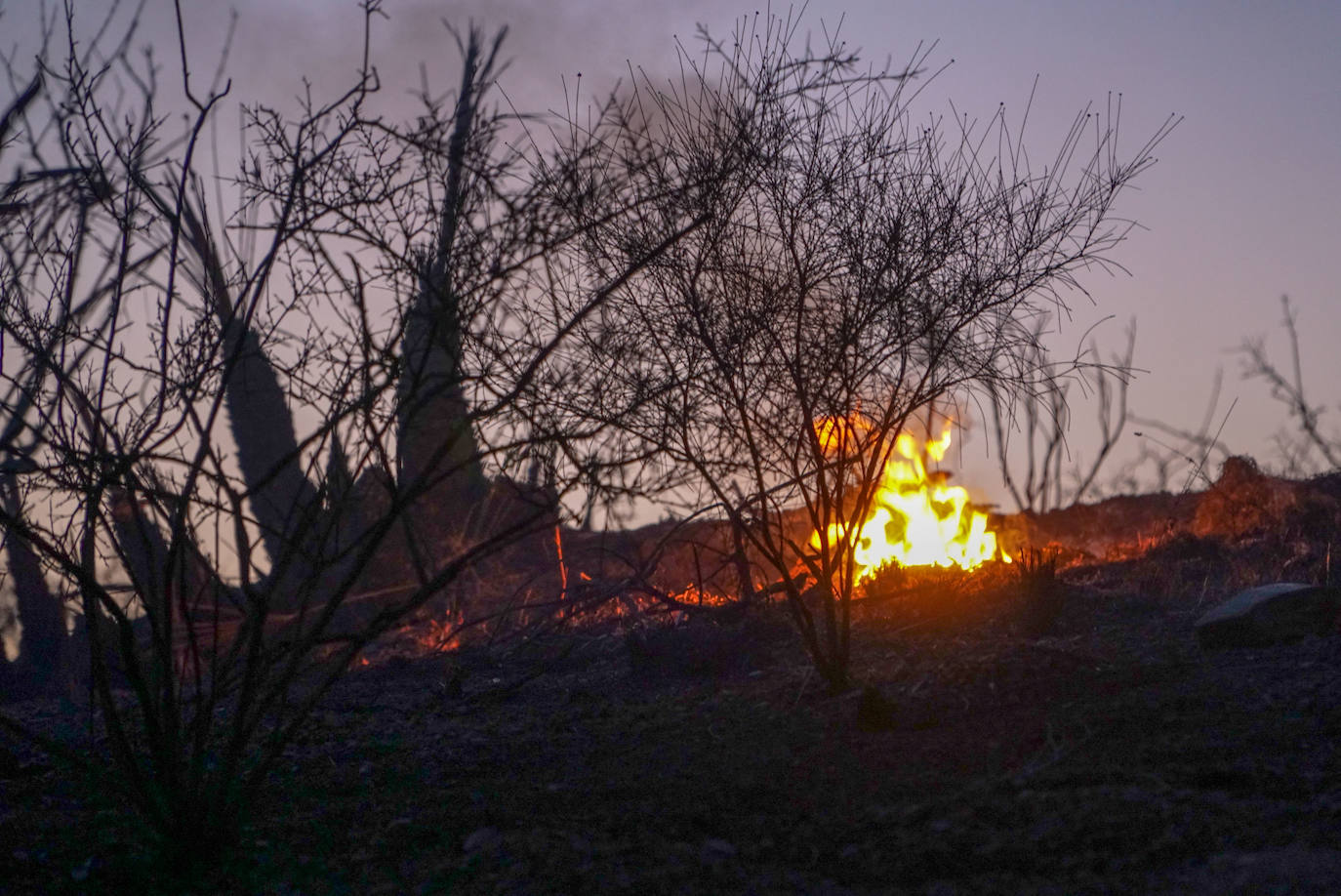 Fotos: El incendio en el paraje Los Monteros de Marbella en imágenes