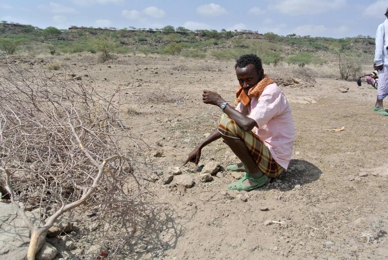 Un cráneo de Australopithecus «notablemente completo» de 3,8 millones de años de antigüedad fue descubierto en Etiopía, en que no está lejos de donde fue encontrado Lucy, según el artículo que publicó la revista 'Nature' este miércoles. Ha sido un descubrimiento que una vez más desafía nuestra comprensión de la evolución humana.
