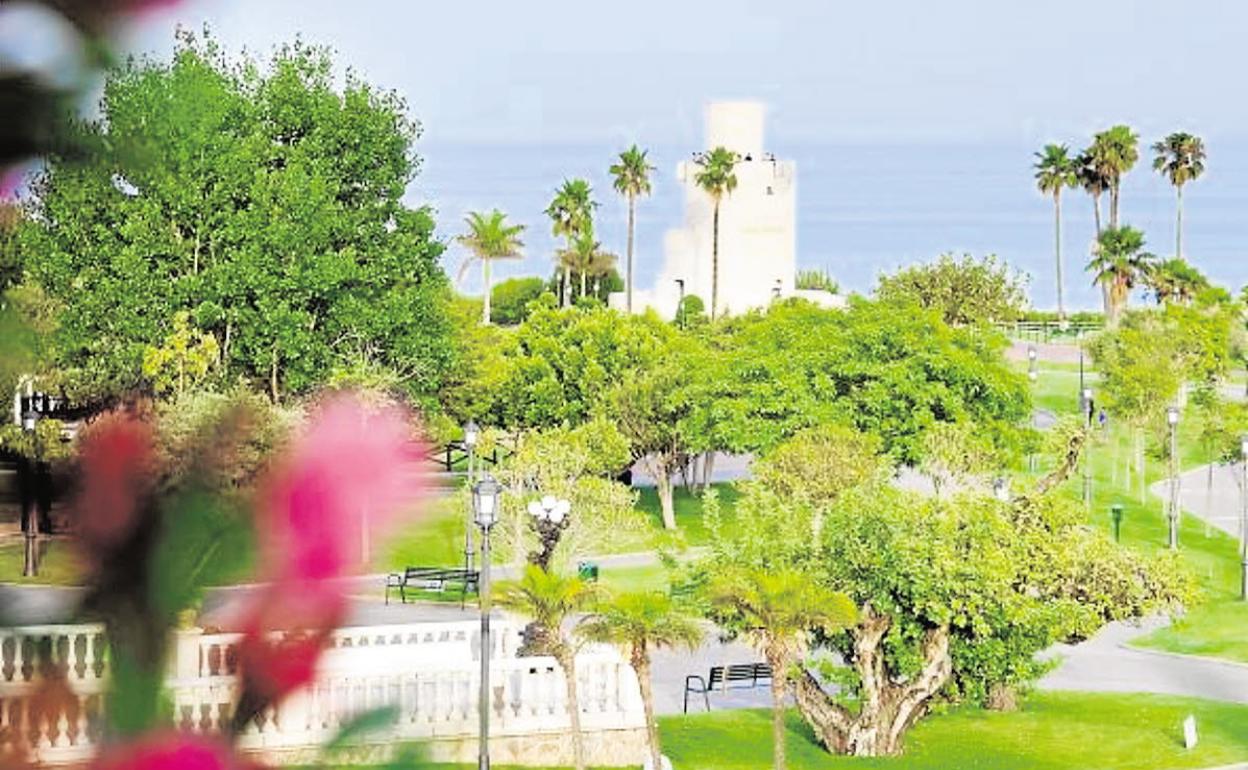 ¿Por qué los árboles son tan beneficiosos en la ciudad?