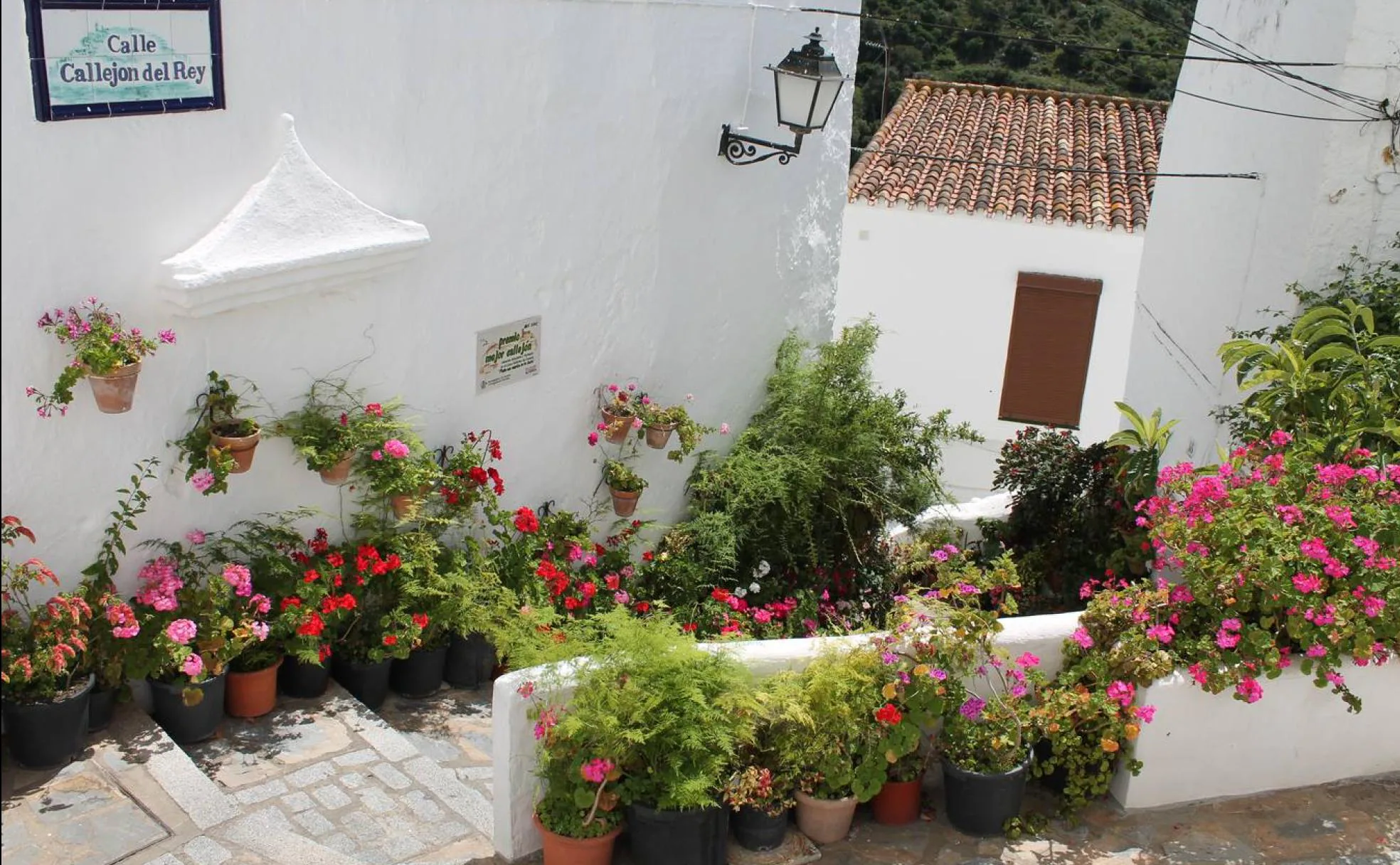 Casares. En el extremo occidental de la comarca, entre Manilva y Estepona se encuentra la villa que vio nacer a Blas Infante