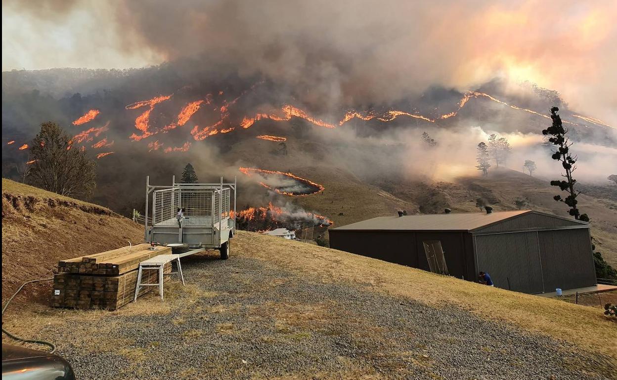 Las llamas arden en Gold Coast durante un gran incendio forestal.