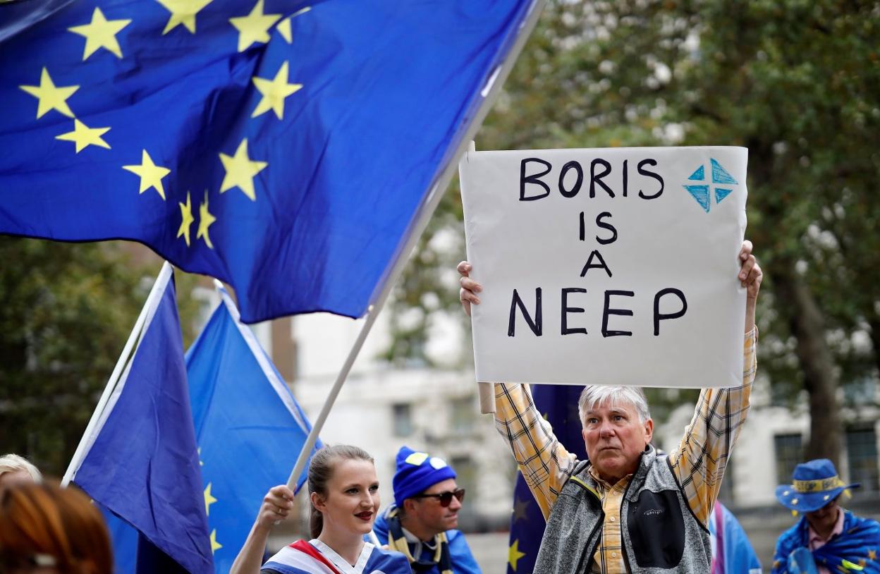 «Boris es un nabo» dice el cartel de un manifestante que expresa su oposición al 'Brexit'. :: t. akmen / afp