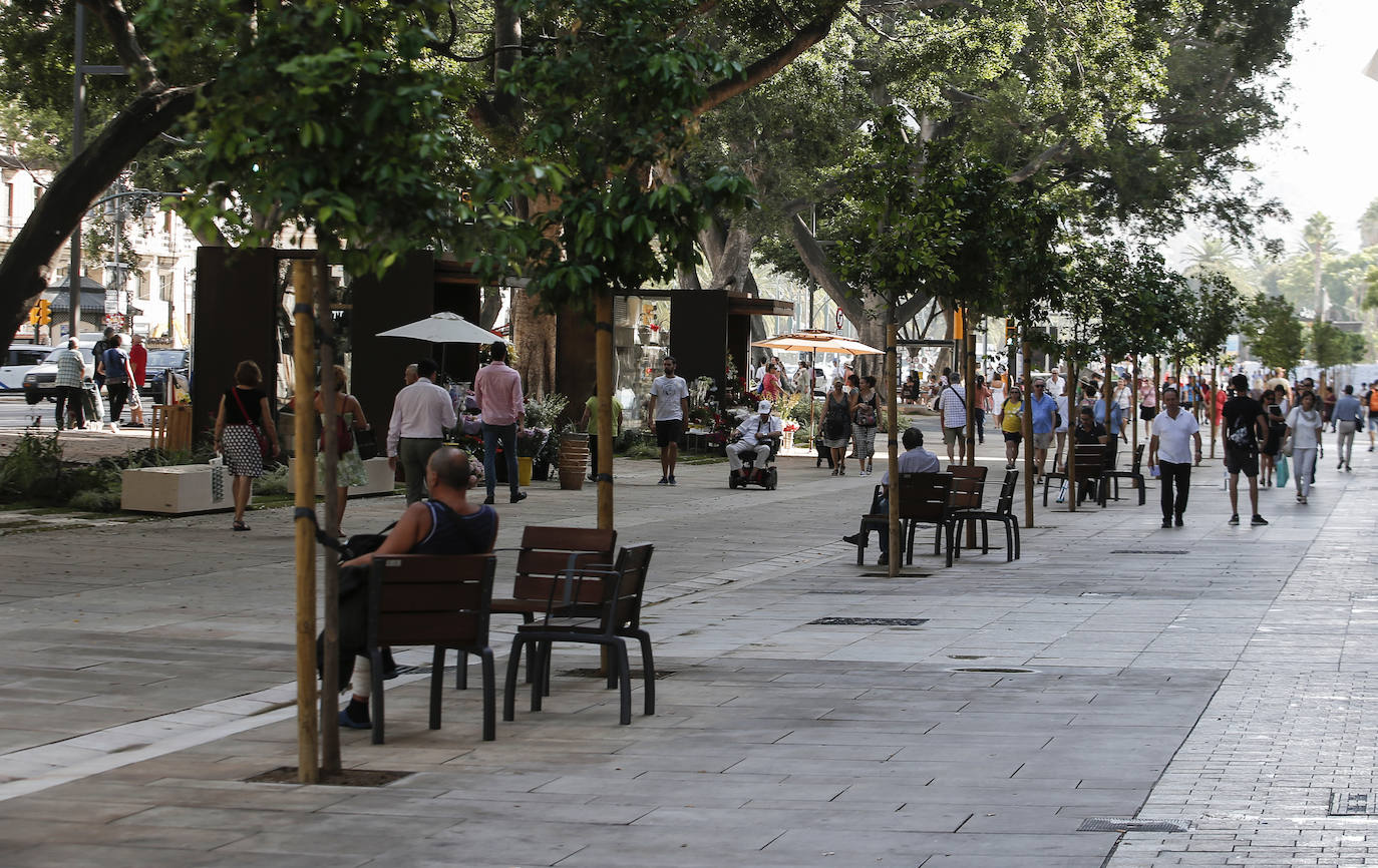 Se reabre esta arteria malagueña: un gran salón peatonal