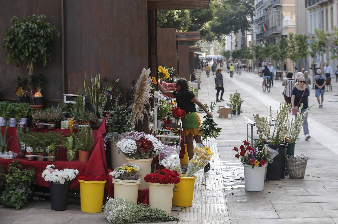 Se reabre esta arteria malagueña: un gran salón peatonal