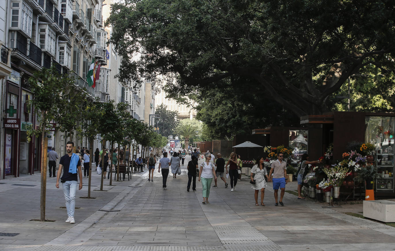 Se reabre esta arteria malagueña: un gran salón peatonal