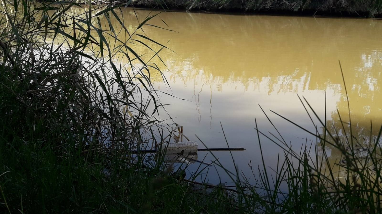 Medio centenar de personas recogen 290 kilos de basura en la desembocadura del río Guadalhorce