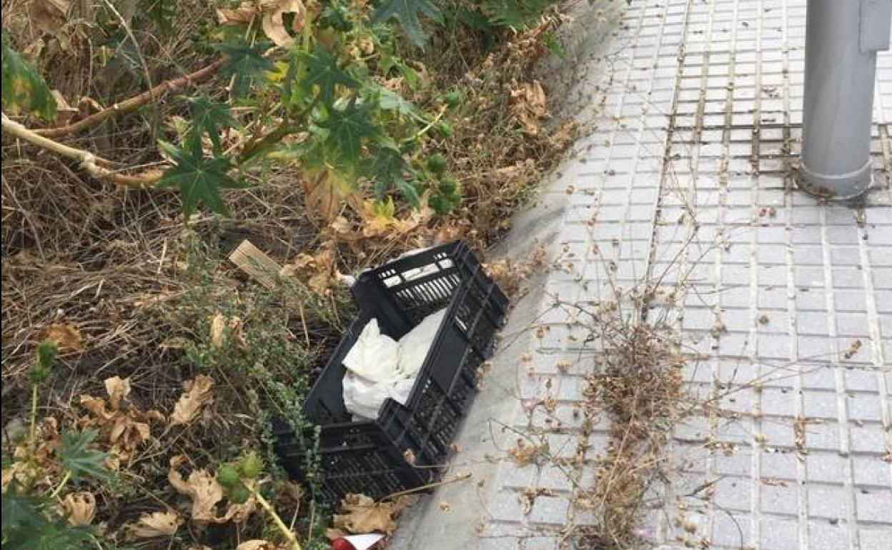 Una Calle intransitable en Campos Elíseos