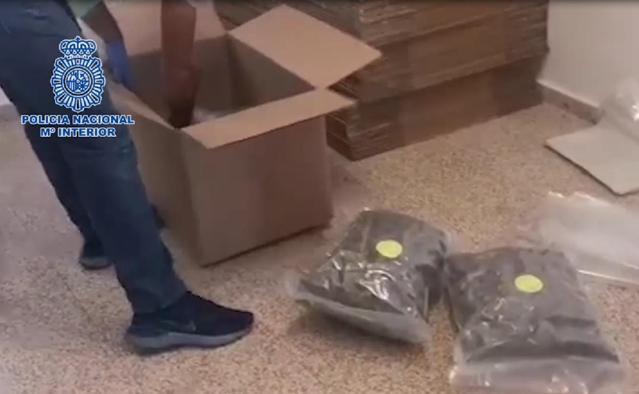 Imagen de uno de los registros realizados en la vivienda. 
