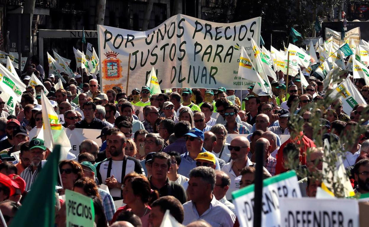 Los olivareros reclaman en Madrid mecanismos para paliar la «crisis tremenda» del sector
