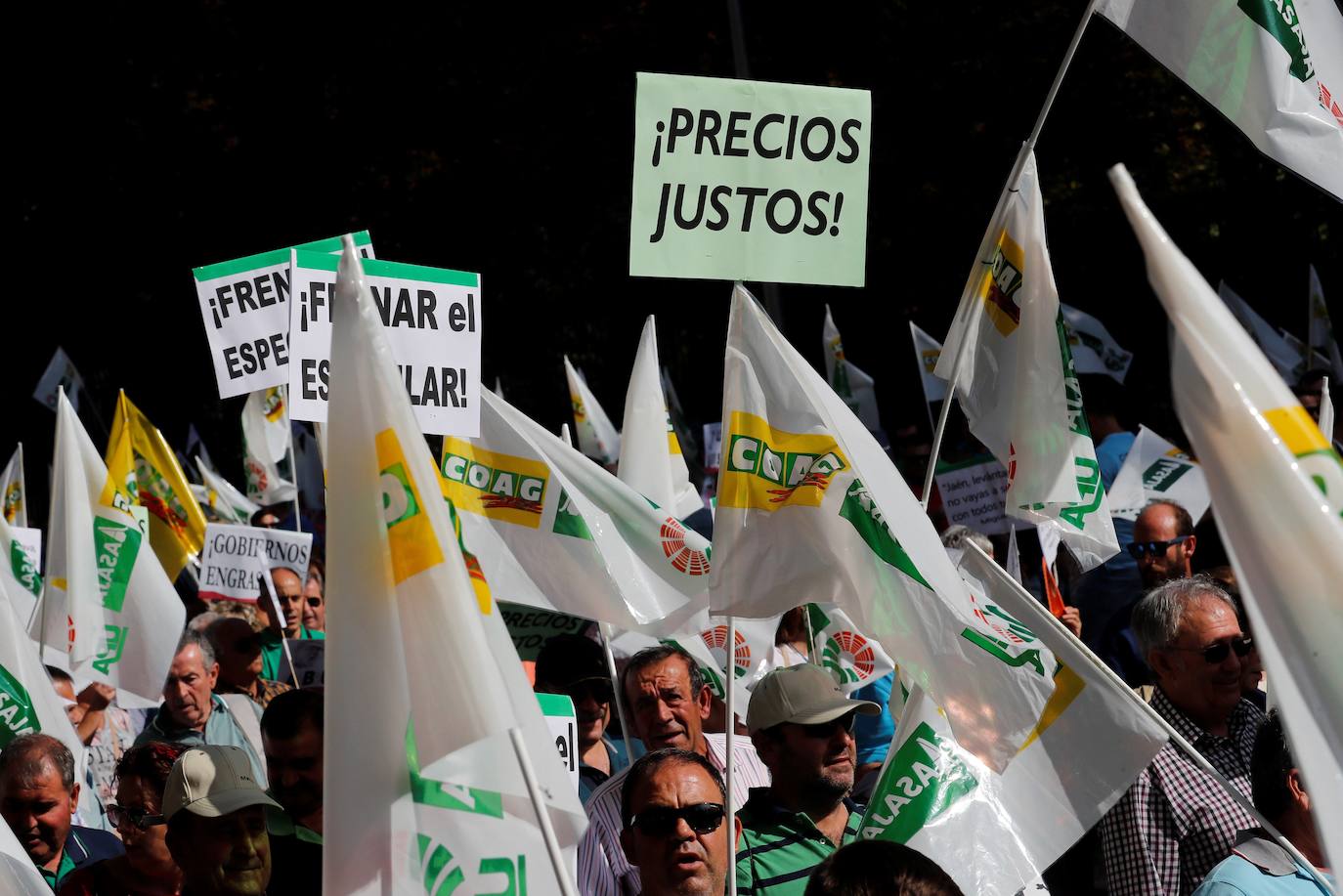 Fotos: En imágenes, la manifestación celebrada este jueves en Madrid bajo el lema &#039;Precios justos para un olivar vivo&#039;