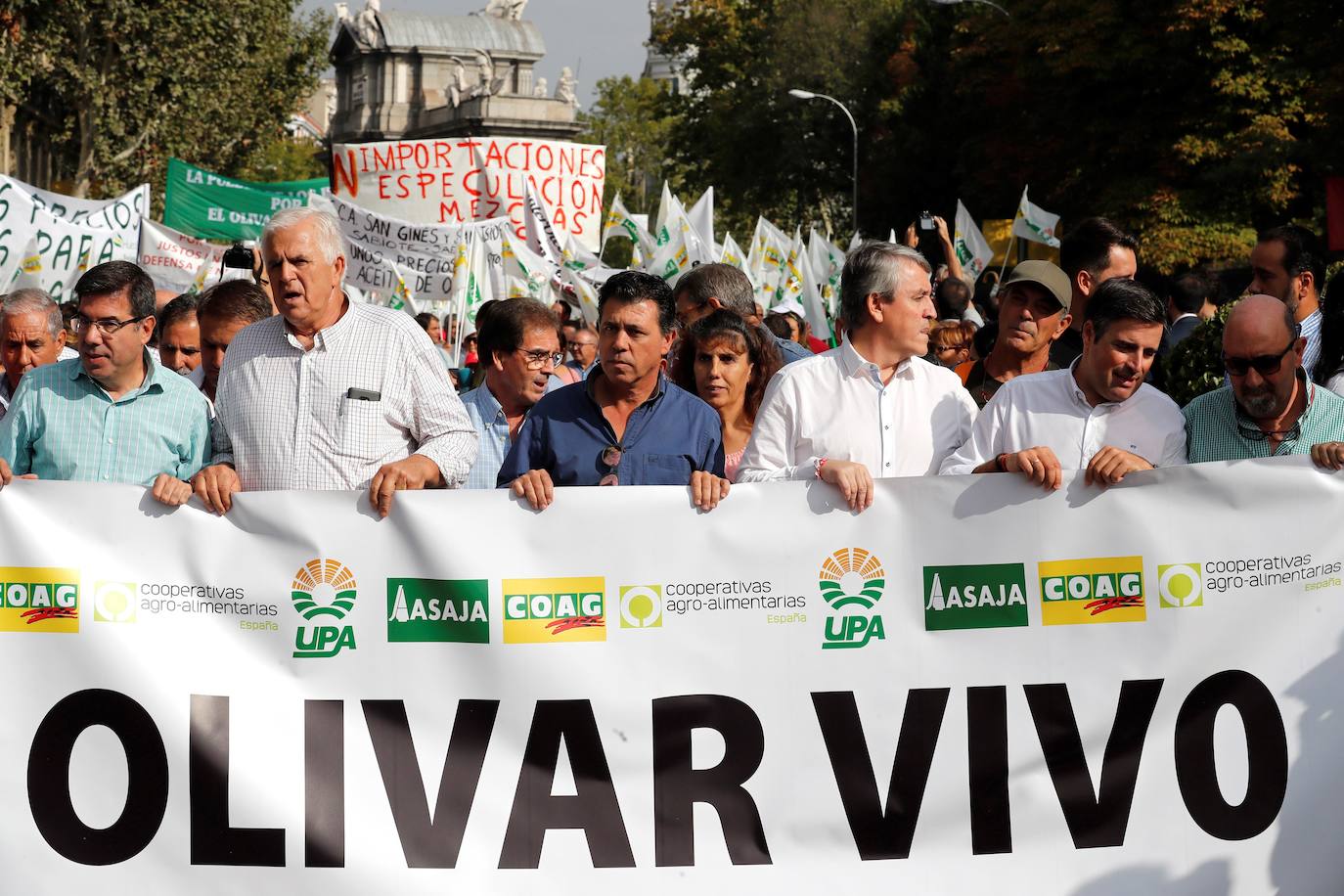 Fotos: En imágenes, la manifestación celebrada este jueves en Madrid bajo el lema &#039;Precios justos para un olivar vivo&#039;