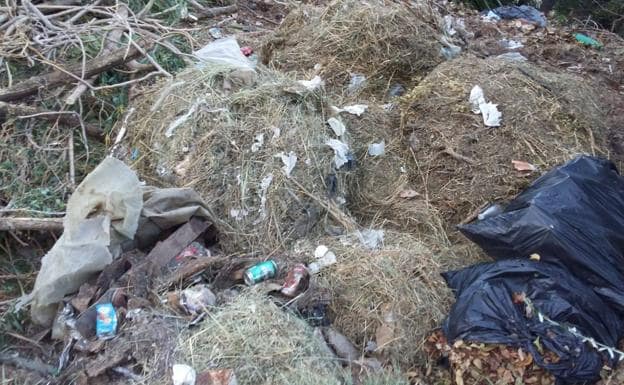 Imagen principal - Escombros, ramas secas, bolsas de basura, plásticos y un adoquín levantado en la calle Sierra del Co.