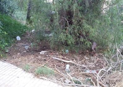 Imagen secundaria 1 - Escombros, ramas secas, bolsas de basura, plásticos y un adoquín levantado en la calle Sierra del Co.