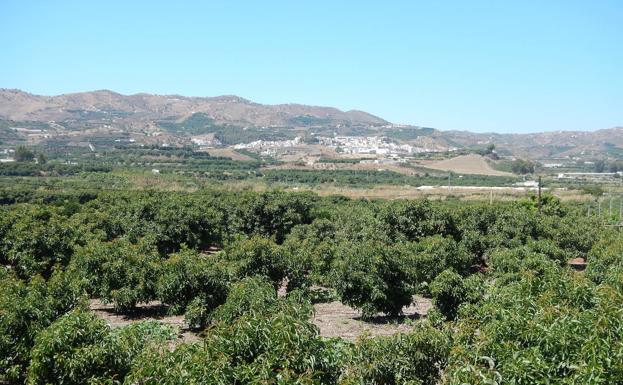 Valle del río Vélez.