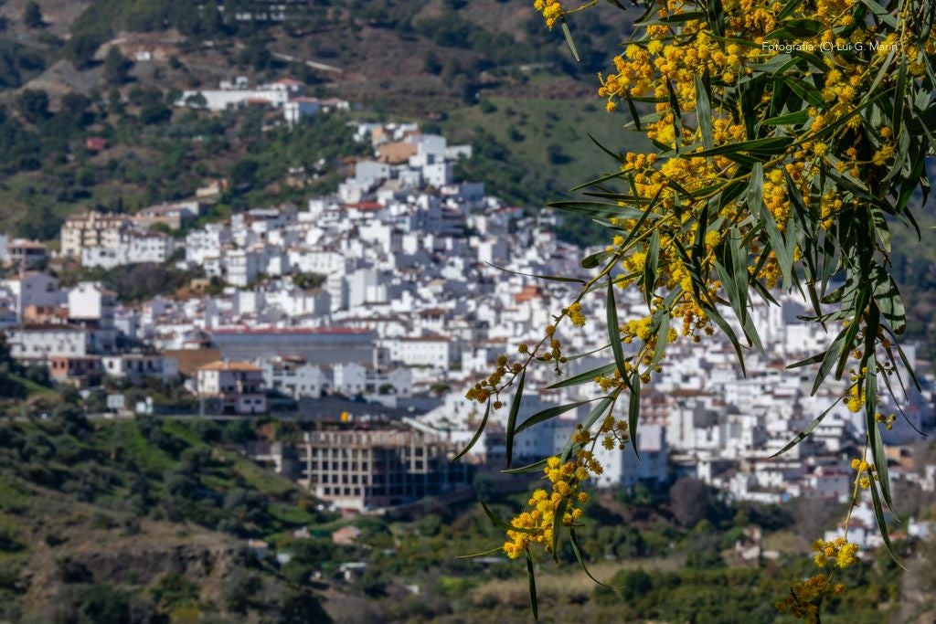 «Por si fuera poco las casas encaladas, las calles adornadas de flores, y la naturaleza radiante en plena Sierra de las Nieves, Tolox tiene un añadido más a su encanto. Desde hace tres años, se encuentran en sus calles las muestras de arte que dejan los artistas en los encuentros Art-Tolox. Nos damos una vuelta por las calles del pueblo, a encontrarnos con ese museo al aire libre, y más tarde paseamos por su entorno, para encontrarnos con ese arte natural»