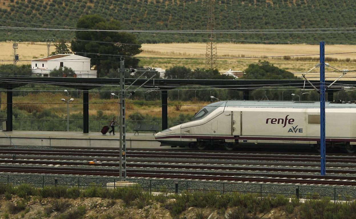 Cuatro empresas optan a vender viajes en AVE a bajo coste entre Málaga y Madrid