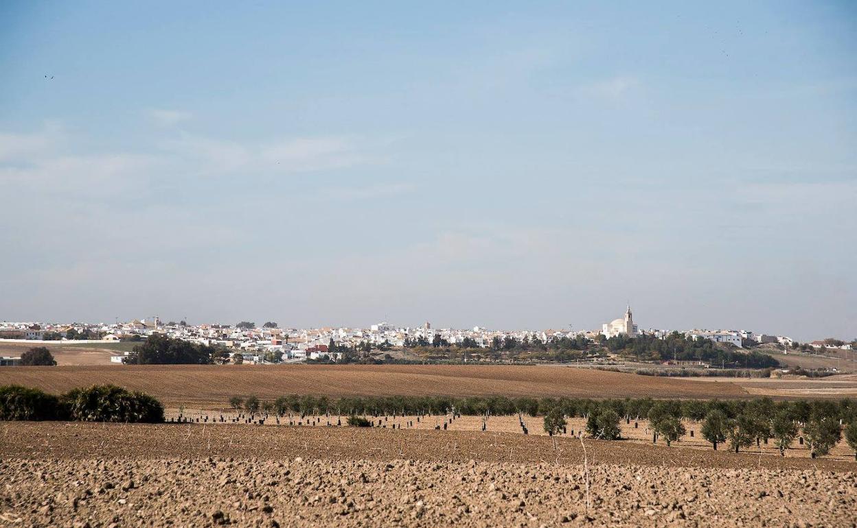 Esta localidad se encuentra en el sudeste de la provincia sevillana. 