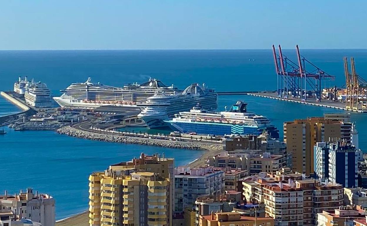 Imagen de los cruceros en el puerto de Málaga. 