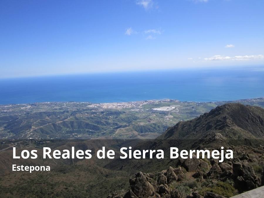 En uno de los parajes naturales más valiosos de la provincia de Málaga, los Reales de Sierra Bermeja, aguardan insólitas vistas panorámicas de la Costa del Sol Occidental. Concretamente, junto al Refugio Agustín Lozano, se pueden tener espléndidas panorámicas del litoral de Estepona, pero también del Estrecho de Gibraltar (sobre todo en los días claros). Además, a través de un pequeño sendero se puede llegar a otro mirador que lleva el nombre de Salvador Guerrero.