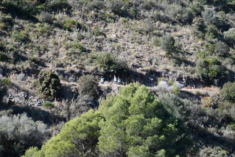 Imágenes de la 18ª edición del mítico recorrido por la sierra alhaurina donde han participado un total de 1.450 corredores 