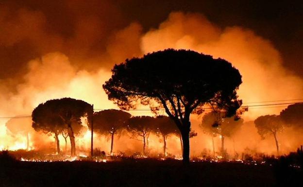 Imagen del incendio de Doñana en 2017 