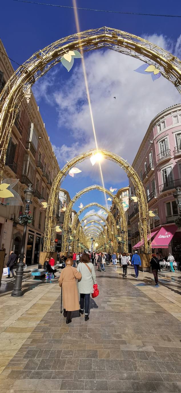 El bosque navideño en el que se convertirá este año la céntrica vía malagueña ya se encuentra casi listo. Aunque aún habrá que esperar al próximo 29 de noviembre para verlo iluminado.