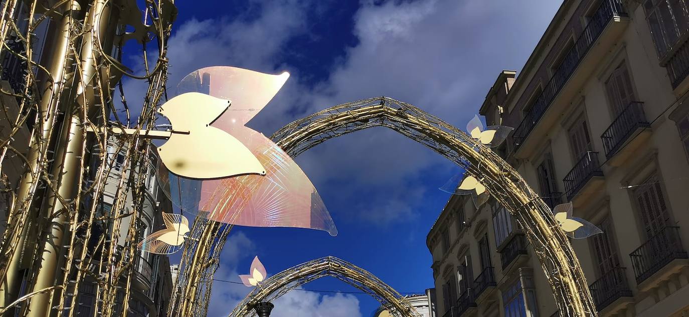 El bosque navideño en el que se convertirá este año la céntrica vía malagueña ya se encuentra casi listo. Aunque aún habrá que esperar al próximo 29 de noviembre para verlo iluminado.