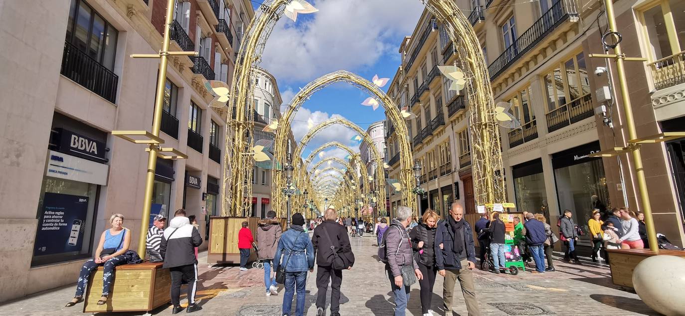 El bosque navideño en el que se convertirá este año la céntrica vía malagueña ya se encuentra casi listo. Aunque aún habrá que esperar al próximo 29 de noviembre para verlo iluminado.